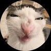 1catmeows